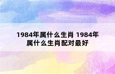 1984年属什么生肖 1984年属什么生肖配对最好